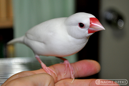 0729yuki