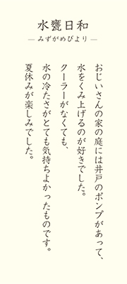 kame_t